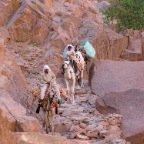 St. Catherine Nationalpark