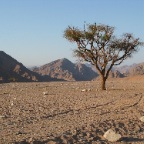 Sinai Wüstenlandschaft