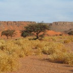 Wadi Hamra