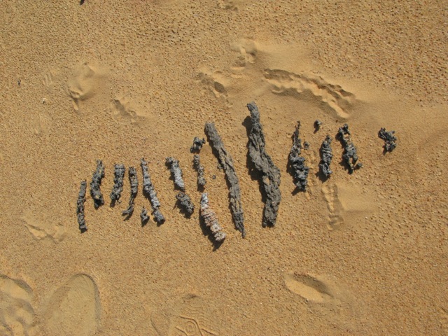 Loading Image