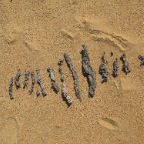 Fulgurite (durch Blitzeinschlag im Sand entstanden)