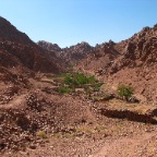 St. Catherine National Park