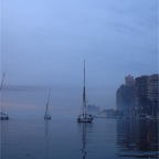 Feluccas on the Nile in Cairo