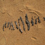 Fulgurites (evolved from lightning stroke in the sand)