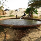 Bir Wahed (warm spring near Siwa)