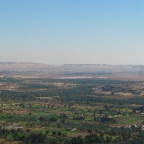 Bahariya Oasis