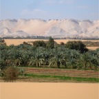 Dakhla Oasis